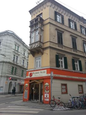 Altbausanierung (2-vorher)